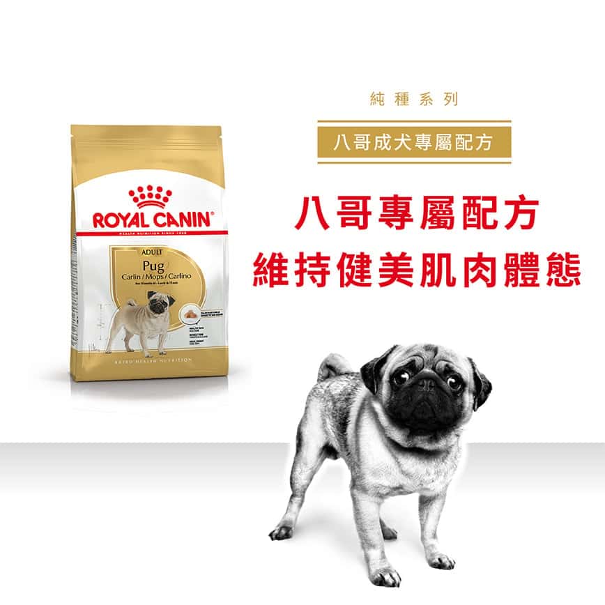 Royal Canin 狗糧 法國皇家狗糧 純種系列 八哥成犬專屬配方 PUG 1.5kg (2557000) (圖片2)