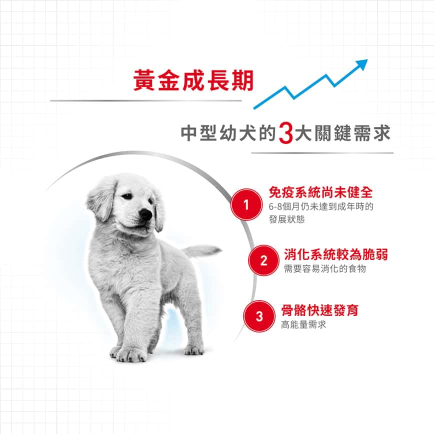 Royal Canin 狗糧 法國皇家狗糧 健康營養系列 中型幼犬營養配方 中型幼犬糧 AM32 4kg (3003040011) (圖片2)