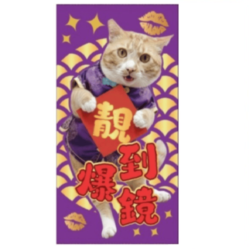 WELLNESS Core 紅包 (大舊) (WNCNY01) (非賣品) (贈品) (圖片2)