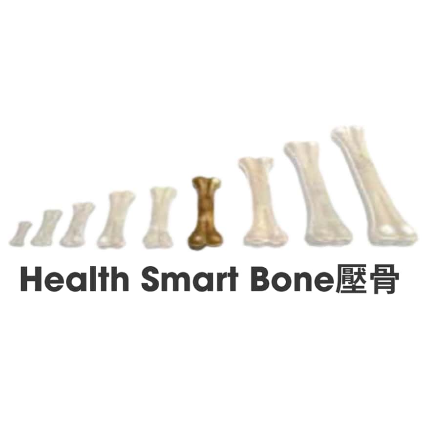 Health Smart Bone 壓骨 6 10pcs (圖片2)
