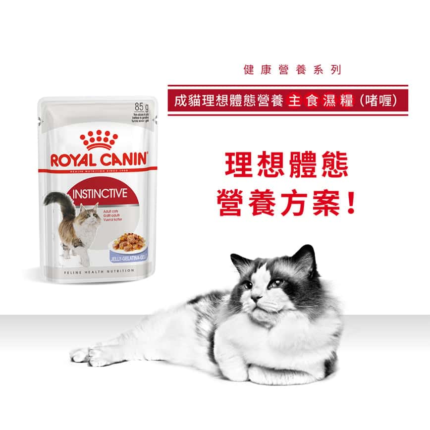 Royal Canin 法國皇家 貓濕糧 成貓理想體態營養主食濕糧 (啫喱) 85g (圖片2)