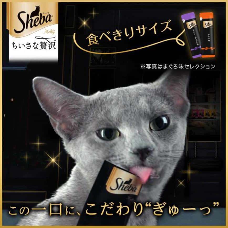 日本Sheba 豪華滋味能量小食 雞肉及白身魚 4本入 (綠) (圖片2)