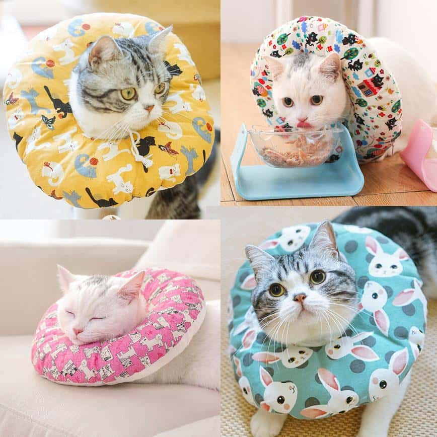 寵物防咬舒適頸圈 XS碼 一個裝 (款式隨機) (圖片2)