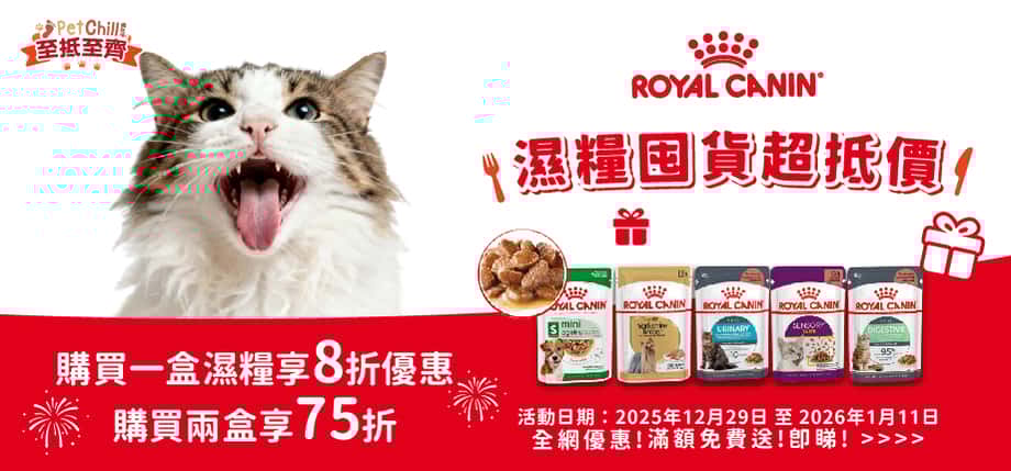 Royal Canin 貓濕糧 - royal canin 濕糧好唔好 - 皇家濕糧評價 - 皇家濕糧成分 - 皇家貓濕糧評價 - PetChill 寵物用品店