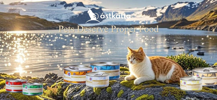 astkatta評價 - astkatta主食罐評價 - astkatta幼貓 - astkatta湯包 - astkatta鱷魚 - astkatta布丁罐 - astkatta肉泥