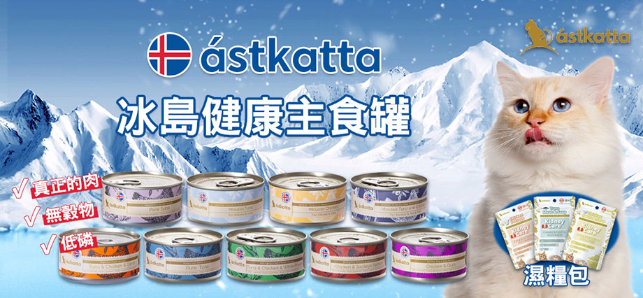 astkatta評價, astkatta主食罐評價, astkatta主食罐lihkg, astkatta幼貓, astkatta湯包, astkatta代理, astkatta鱷魚, astkatta罐頭