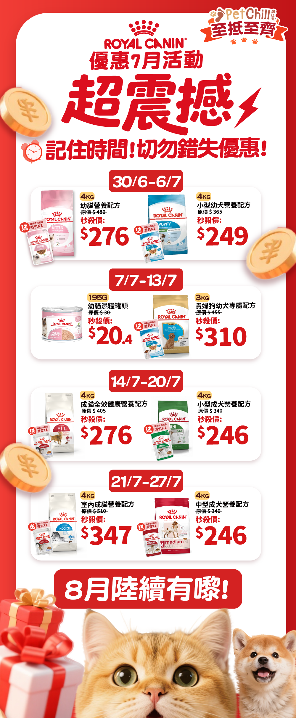 活動詳細