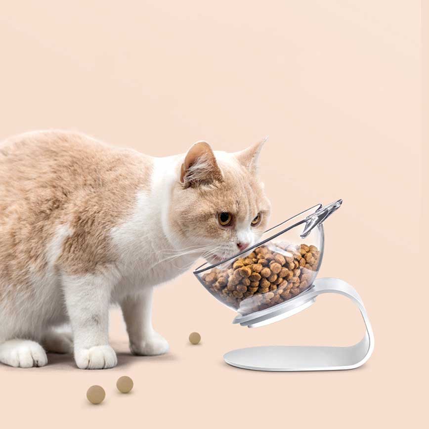 Pet Neck and Spine Protection Food Bowl, Transparent Single Bowl (img2)
