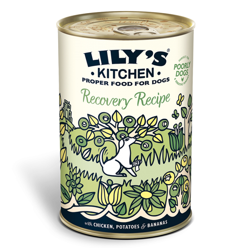 LILY'S KITCHEN Wet Dog Food Recovery Recipe 400g (DRR10) (img2)