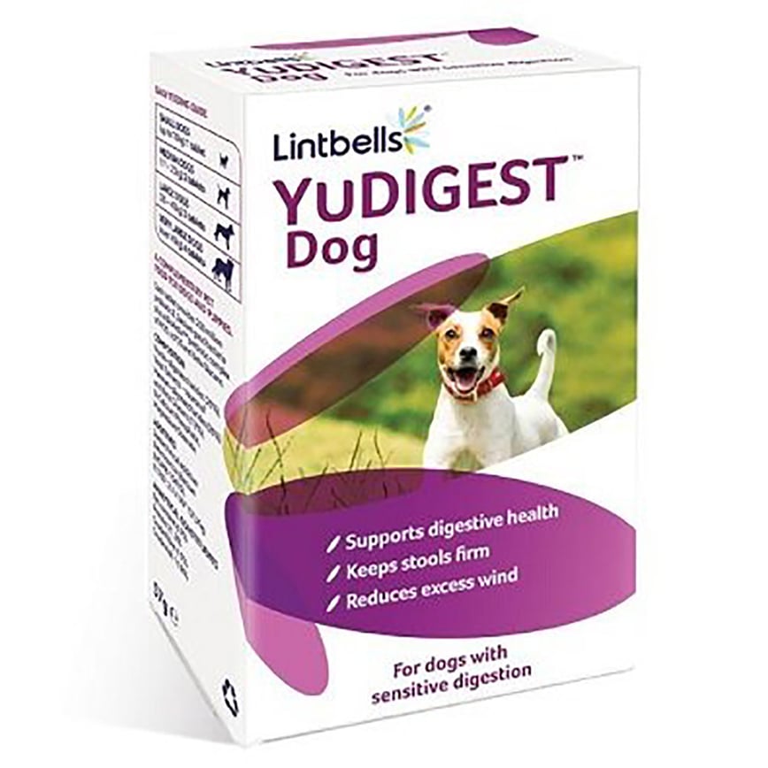 Lintbells YuDIGEST 益生菌元素 300錠 (Yum-PROBIO-300) (img2)