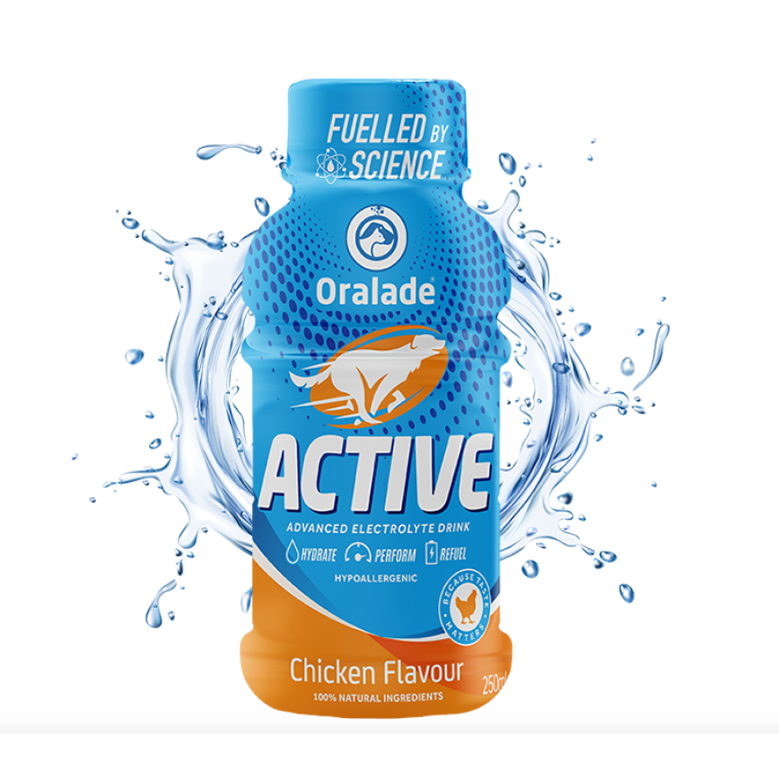 Oralade Active 高效電解質飲料 250ml (Active-C) (犬用) (img2)