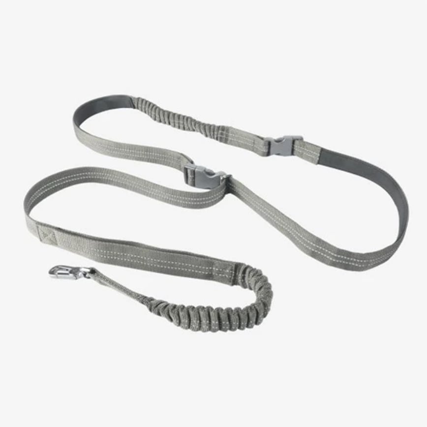 DogCatStar Multi-Function Bungee Dog Leash (GC894) (img2)