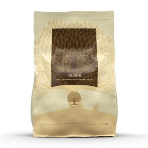 Essential Essential Foods 易膳 狗糧 長青 Older 3kg 3kg 正面圖