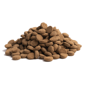 Essential Essential Foods 易膳 狗糧 長青 Older 10kg 10kg  正面圖