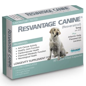 Resvantage Resvantage 白藜蘆醇犬用保健品 30粒 30粒 犬用 正面圖