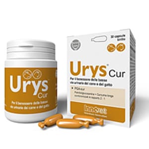 INNOVET INNOVET Urys-Cur 泌尿配方 30粒 30粒  正面圖