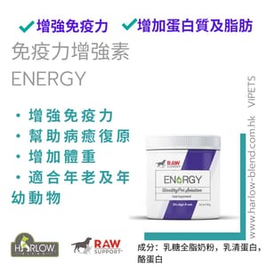 Holistic Holistic Blend 楓葉 免疫力增強素 ENERGY Booster Plus 175g 175g 貓犬用 正面圖