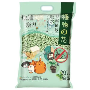 植物之芯 植物之芯 綠茶配方 20L 20L 正面圖