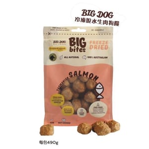 Big Big Dog 冷凍脫水狗糧 三文魚配方 490g 490g 正面圖