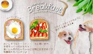 日本Wan 日本Wan Wan Breakfast 狗狗玩具 煙肉太陽蛋厚多士 一個入   正面圖
