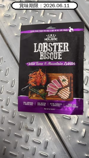 Absolute Absolute Holistic 貓狗小食 無穀物濃湯肉泥 吞拿魚+龍蝦 5支裝 60g 60g 正面圖