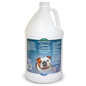 BIO-GROOM BIO-GROOM 狗狗燕麥滋潤止癢洗毛水 Natural Oatmeal SOOTHING ANTI-ITCH Shampoo 1gal 1g  正面圖