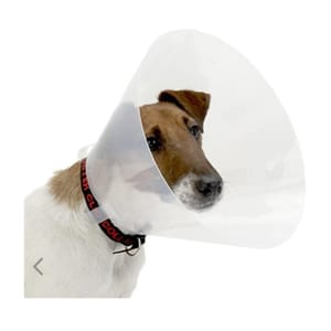 Buster Buster Clic Collar 透明頸圈 20cm 正面圖