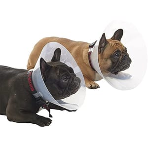 Buster Buster 短吻犬種專用頸圈 E-Collar for Brachycephalic Breeds Starter 加細碼   正面圖