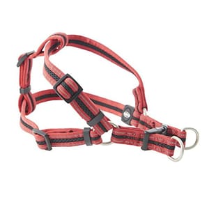Buster Buster 反光網格胸帶 Reflective Mesh Step-in Harness 25mm 紅色 大碼 正面圖