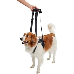 KRUUSE KRUUSE 犬用輔助步行掛帶 前腿 Rehab Lifting Harness for Front Legs S 犬用 正面圖