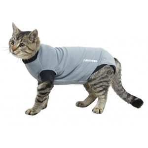 Buster Buster 康復用具 小幼貓 Young cat XXXS 正面圖