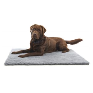 Buster Buster 人造羊毛床 Vet Beds 71cm x 61cm 正面圖
