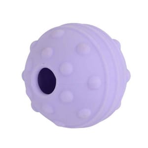 Buster Buster Flex Range Ball 彈力球 紫色   正面圖
