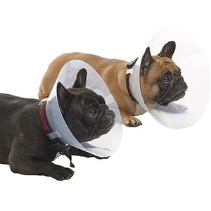 Buster Buster 短吻犬種專用頸圈 E-Collar for Brachycephalic Breeds Starter 大碼   正面圖