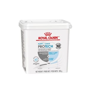 Royal Canin Royal Canin 法國皇家 獸醫處方 健康管理系列 初生犬營養奶粉 300g 300g 正面圖