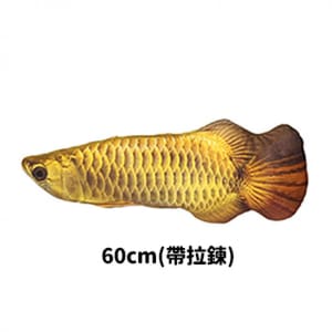 貓咪柔軟舒服抱枕玩具 貓咪柔軟舒服抱枕玩具 金龍魚 加大 - 開倉價優惠   正面圖