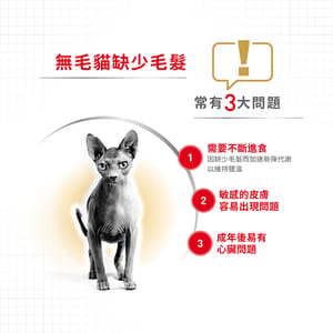 Royal Canin Royal Canin 貓糧 法國皇家貓糧 純種系列 無毛貓成貓專屬配方 2kg 2kg  正面圖