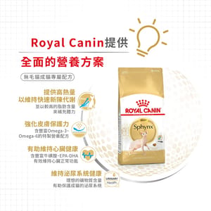 Royal Canin Royal Canin 貓糧 法國皇家貓糧 純種系列 無毛貓成貓專屬配方 2kg 2kg  特寫圖