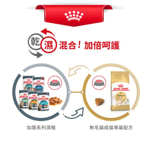 Royal Canin Royal Canin 貓糧 法國皇家貓糧 純種系列 無毛貓成貓專屬配方 2kg 2kg  包裝圖