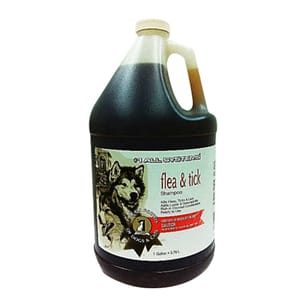 頂尖 頂尖 洗毛液 職業用除虱配方 1gal 1g  正面圖
