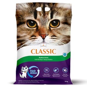 Intersand Intersand CLASSIC 貓砂 森林清香味 14kg 14kg 正面圖