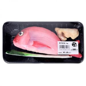 KOJIMA KOJIMA 貓咪趣緻抱枕玩具 薑蔥鯛魚套裝   正面圖