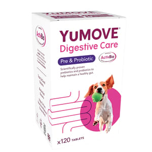 Lintbells Lintbells YuDIGEST 益生菌元素 120錠   正面圖