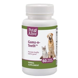 PetAlive PetAlive Gumz-n-Teeth™ 促進牙齒及口腔健康 60粒 60粒 正面圖
