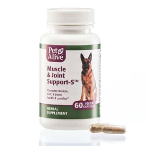 PetAlive PetAlive Muscle & Joint Support™ 保持肌肉和關節健康 60粒 60粒  正面圖