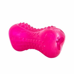 ROGZ ROGZ YUMZ 狗玩具 咀嚼玩具 M   正面圖