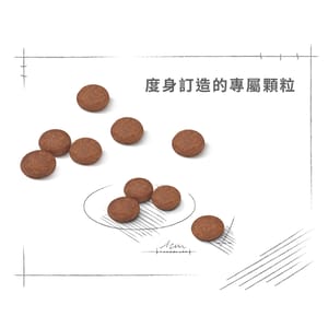 Royal Canin Royal Canin 狗糧 法國皇家狗糧 小型犬消化道腸胃加護配方 DGMI 8kg 8kg  特寫圖