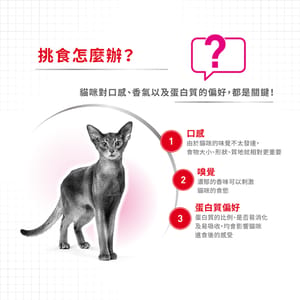 Royal Canin Royal Canin 貓糧 法國皇家貓糧 超級營養配方 EXP 2kg 2kg 背面圖