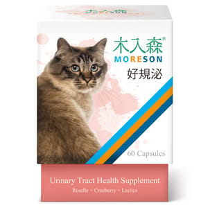 木入森MORESON 木入森MORESON 貓咪保健品 好規泌 60粒 60粒 正面圖