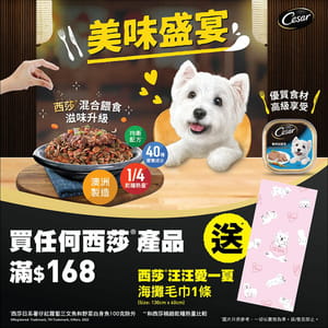 Cesar Cesar 西莎 汪汪愛一夏海灘毛巾1條 正面圖